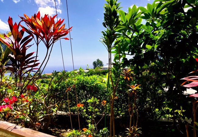 Studio a Arue - TAHITI - Terevete Pool Studio Studio a Arue - TAHITI - Terevete Pool Studio