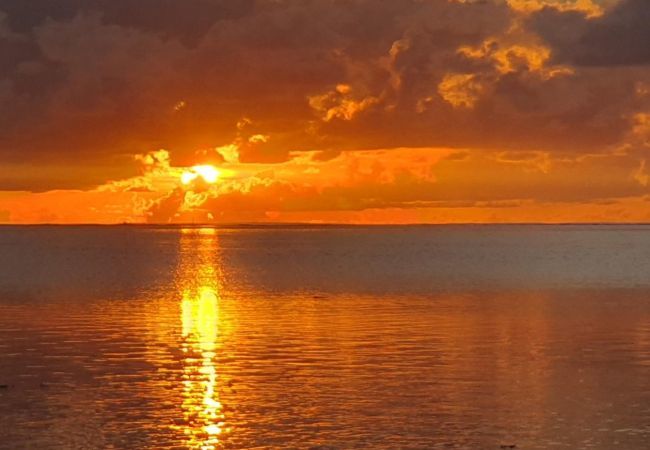 Bungalow a Hauru - MOOREA - Tropical Bungalow Bungalow a Hauru - MOOREA - Tropical Bungalow