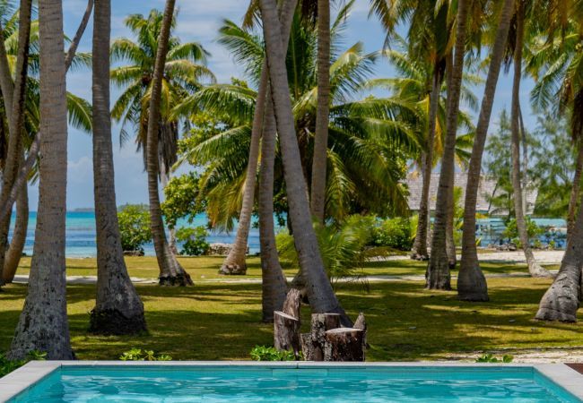 Villa a Avatoru - RANGIROA - Villa Prestige Fara Iti Villa a Avatoru - RANGIROA - Villa Prestige Fara Iti