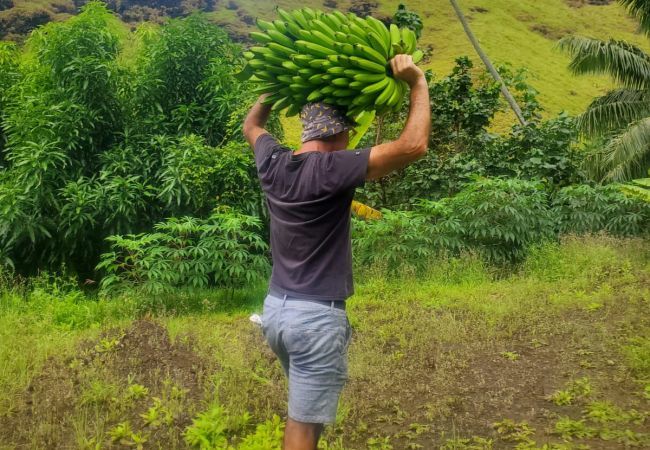 Affitto per camere a Hanavave - FATU HIVA - Hanavave Private Room Affitto per camere a Hanavave - FATU HIVA - Hanavave Private Room