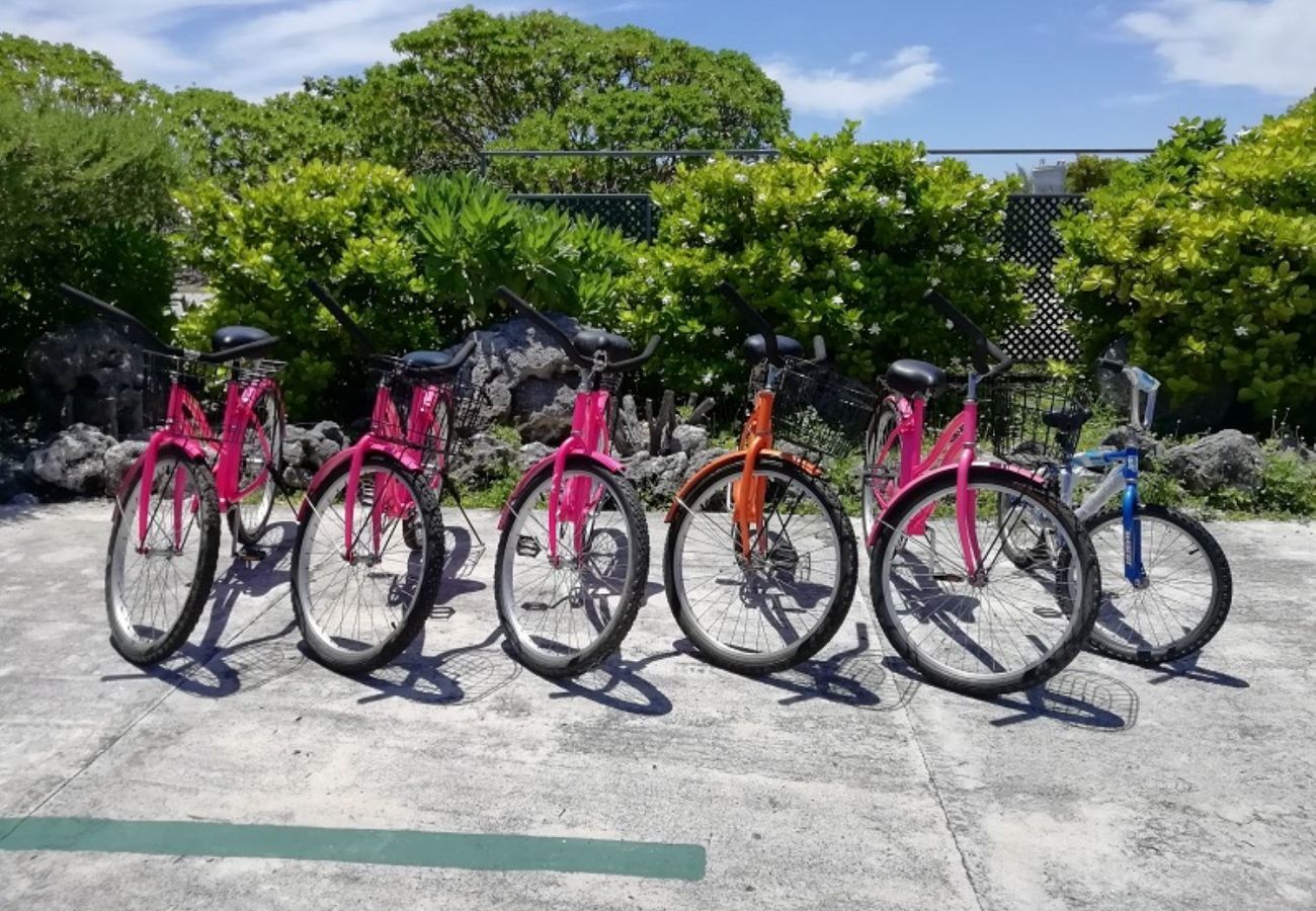 Bungalow a Fakarava  - FAKARAVA - Teariki Lodge 1