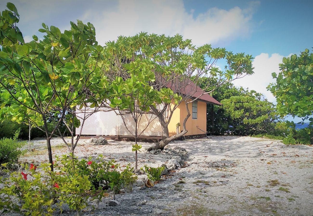Bungalow a Fakarava  - FAKARAVA - Teariki Lodge 2