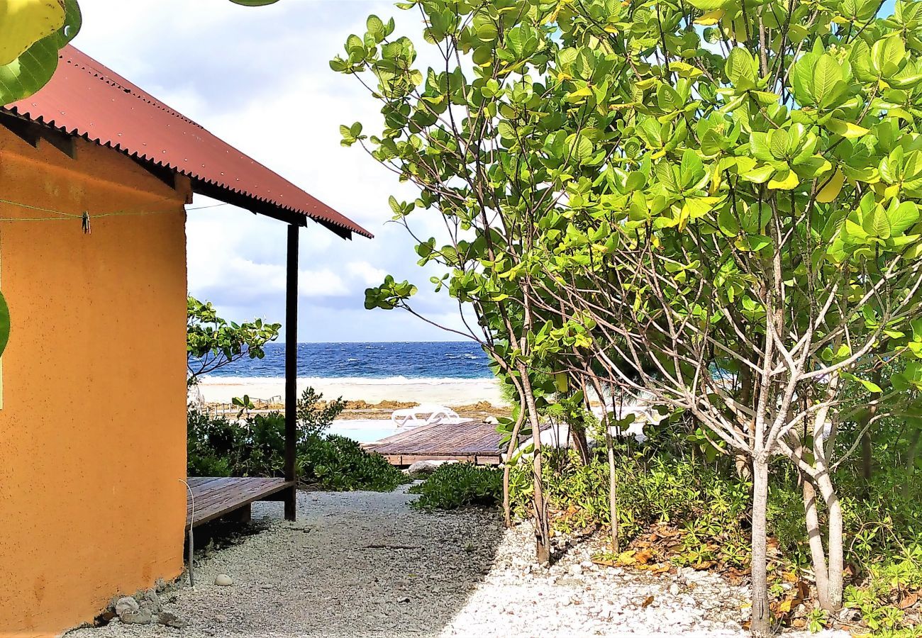 Bungalow a Fakarava  - FAKARAVA - Teariki Lodge 2