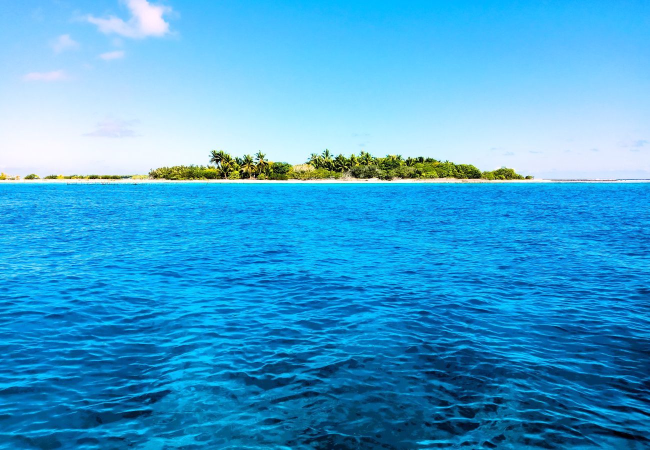Bungalow a Tuherahera - TIKEHAU - Pink Dream Heaven 1