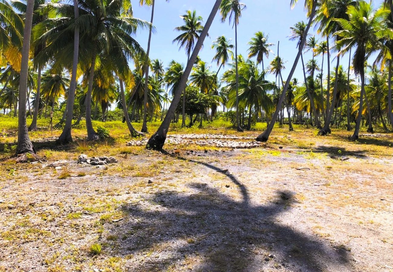 Bungalow a Makemo - MAKEMO - The Lost Paradise Garden Piti