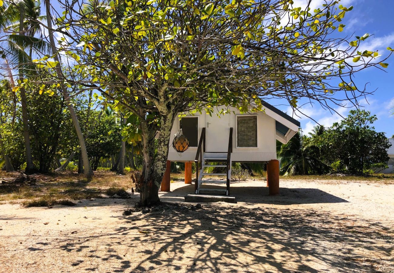 Bungalow a Makemo - MAKEMO - The Lost Paradise Garden Piti