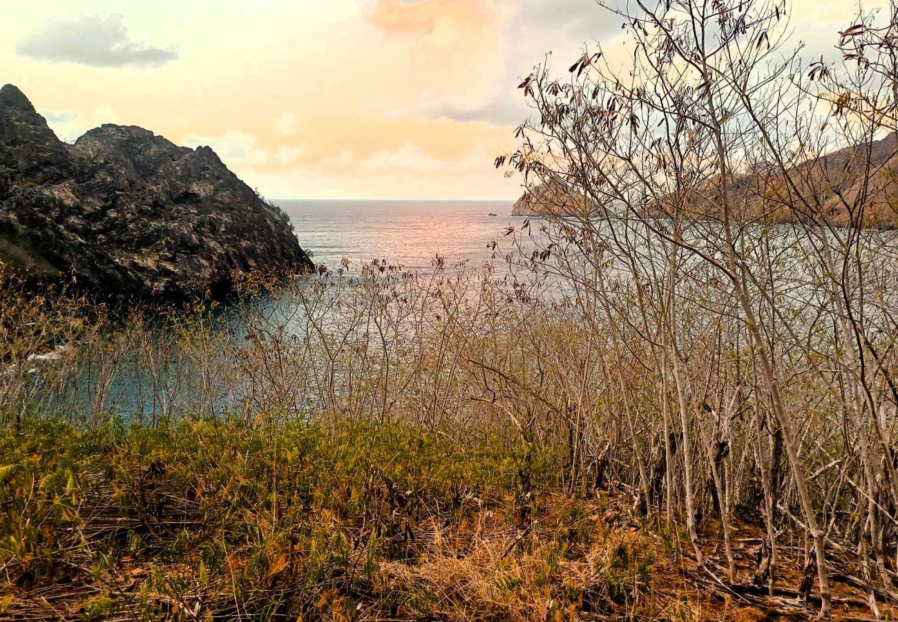 Affitto per camere a Taiohae - NUKU HIVA - Te Reo Nuku Hoe