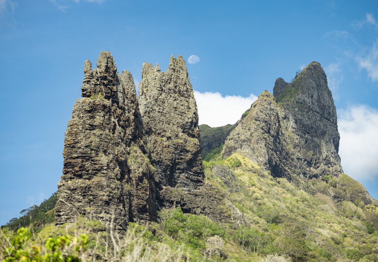 Affitto per camere a Taiohae - NUKU HIVA - Te Reo Nuku Paoto Upe