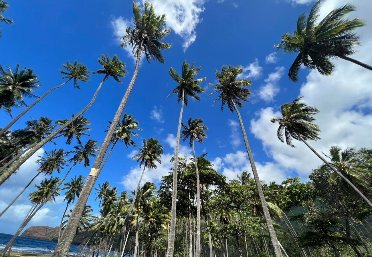 Affitto per camere a Taiohae - NUKU HIVA - Taio Bay triple Room 6