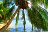 Villa à Niua - TAHAA - Villa Tehere Dream Beach front Villa à Niua - TAHAA - Villa Tehere Dream Beach front