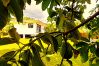 Maison à Taiarapu-Ouest - TAHITI - Ateatea Beach House Maison à Taiarapu-Ouest - TAHITI - Ateatea Beach House