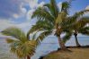 Maison à Huahine-Nui - HUAHINE - Hibiscus House Maison à Huahine-Nui - HUAHINE - Hibiscus House