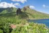 Chambres d'hôtes à Taiohae - NUKU HIVA - Te Reo Nuku Tou Chambres d'hôtes à Taiohae - NUKU HIVA - Te Reo Nuku Tou