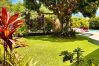 Villa à Nunue - BORA - Villa Reva Luxury Villa à Nunue - BORA - Villa Reva Luxury