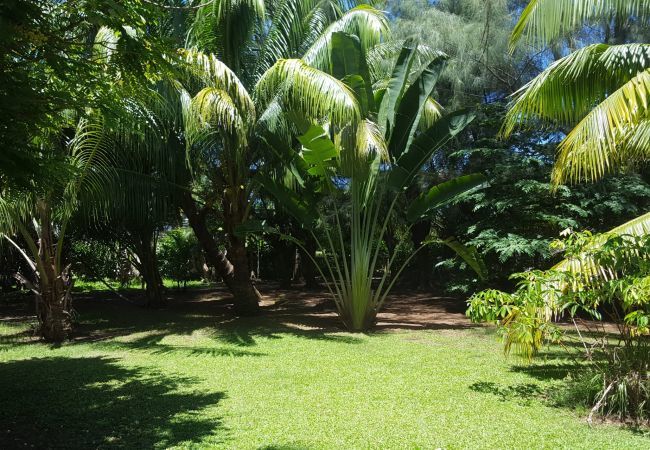 La vue sur le jardin 