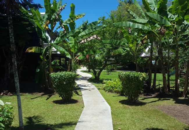 La vue sur le jardin