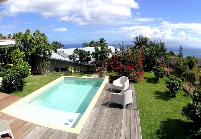 La vue sur la piscine 