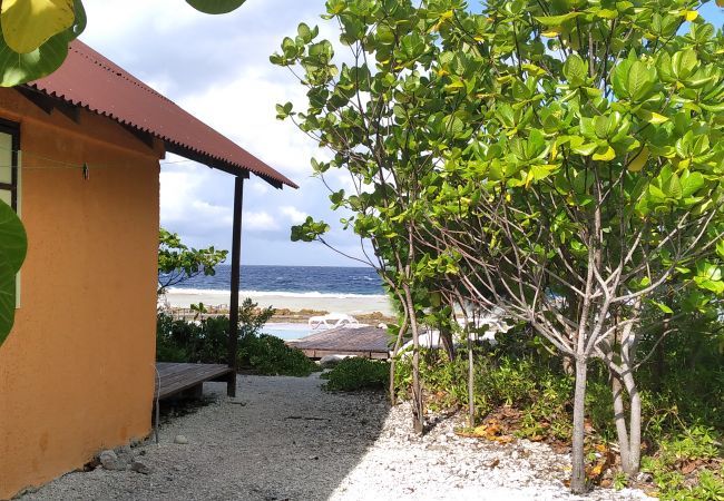 Bungalow à Fakarava  - FAKARAVA - Teariki Lodge 1