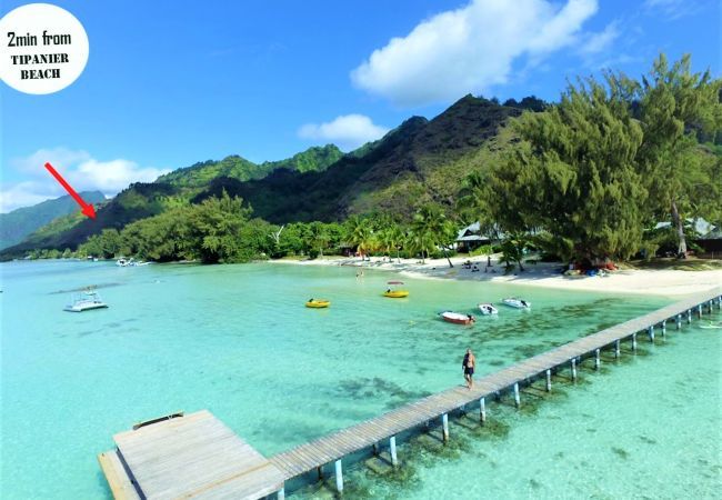 Villa à Tiahura - MOOREA - Tropical Villa