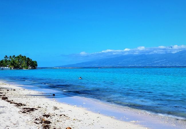 La vue sur la plage de Temae