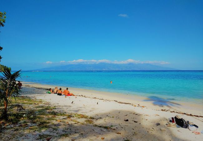 Villa à Temae - MOOREA - Toatea Beach Hoe Villa à Temae - MOOREA - Toatea Beach Hoe