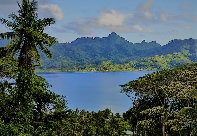 Maison à Huahine-Nui - HUAHINE - Tipanier House