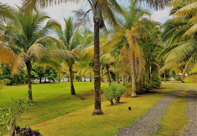 Maison à Huahine-Nui - HUAHINE - Hibiscus House