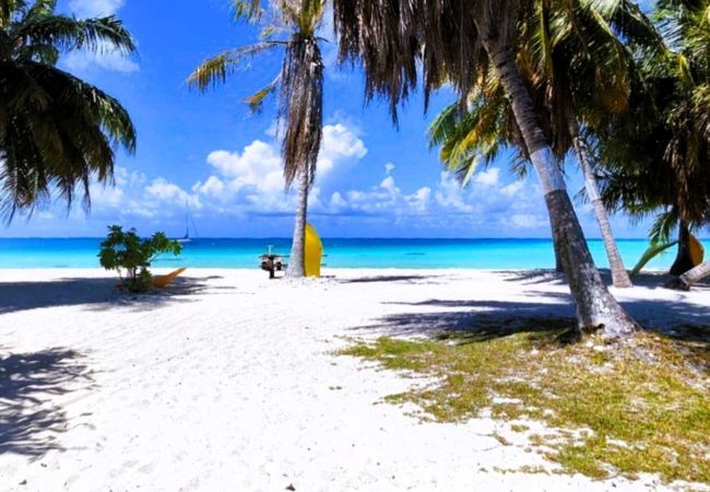 Bungalow à Tuherahera - TIKEHAU - Pink Dream Beach 1