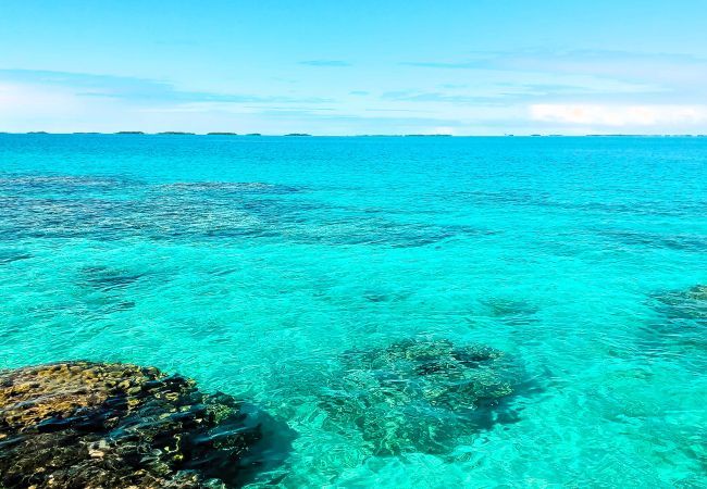 Bungalow à Tuherahera - TIKEHAU - Pink Dream Beach 1 Bungalow à Tuherahera - TIKEHAU - Pink Dream Beach 1