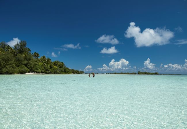 Bungalow à Pihaena - MOOREA - The SERENITY Creek spa