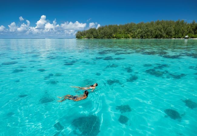 Bungalow à Pihaena - MOOREA - The SERENITY Creek spa