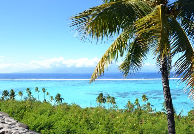 Bungalow à Pihaena - MOOREA - The SERENITY Creek spa