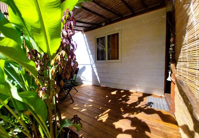 Studio à Hauru - MOOREA - Tropical Nest Studio à Hauru - MOOREA - Tropical Nest