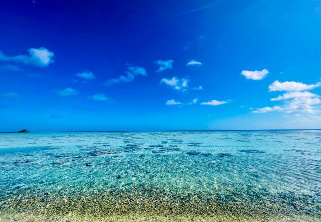 Villa à Avatoru - RANGIROA - Villa Prestige Fara Iti Villa à Avatoru - RANGIROA - Villa Prestige Fara Iti