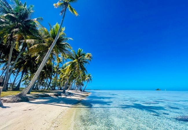 Villa à Avatoru - RANGIROA - Villa Prestige Fara Iti Villa à Avatoru - RANGIROA - Villa Prestige Fara Iti