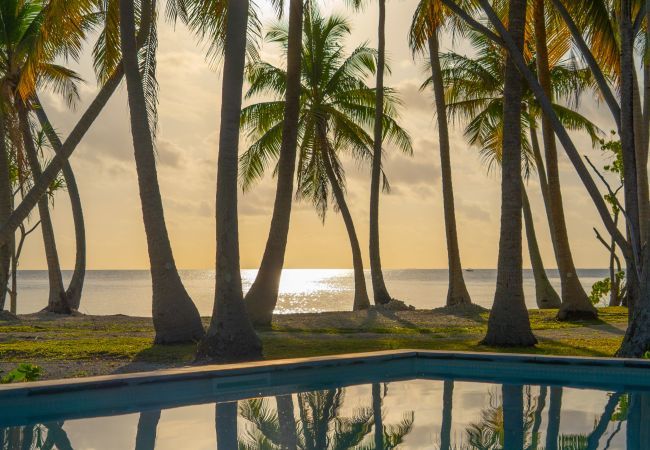 Villa à Avatoru - RANGIROA - Villa Prestige Fara Iti Villa à Avatoru - RANGIROA - Villa Prestige Fara Iti