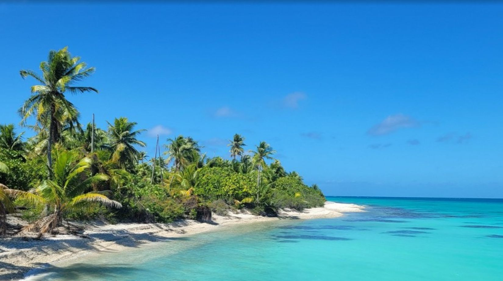 Bungalow à Avatoru - RANGIROA - Ranitea Bungalow