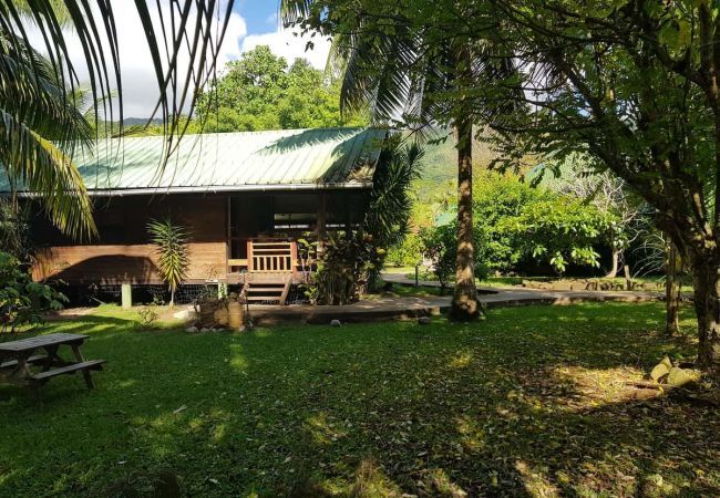Bungalow à Raiatea - RAIATEA - Fare Coco Bungalow à Raiatea - RAIATEA - Fare Coco