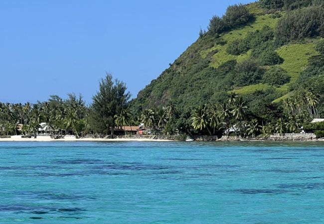 Studio à Hauru - MOOREA - Tropical Moana Cottage Studio à Hauru - MOOREA - Tropical Moana Cottage