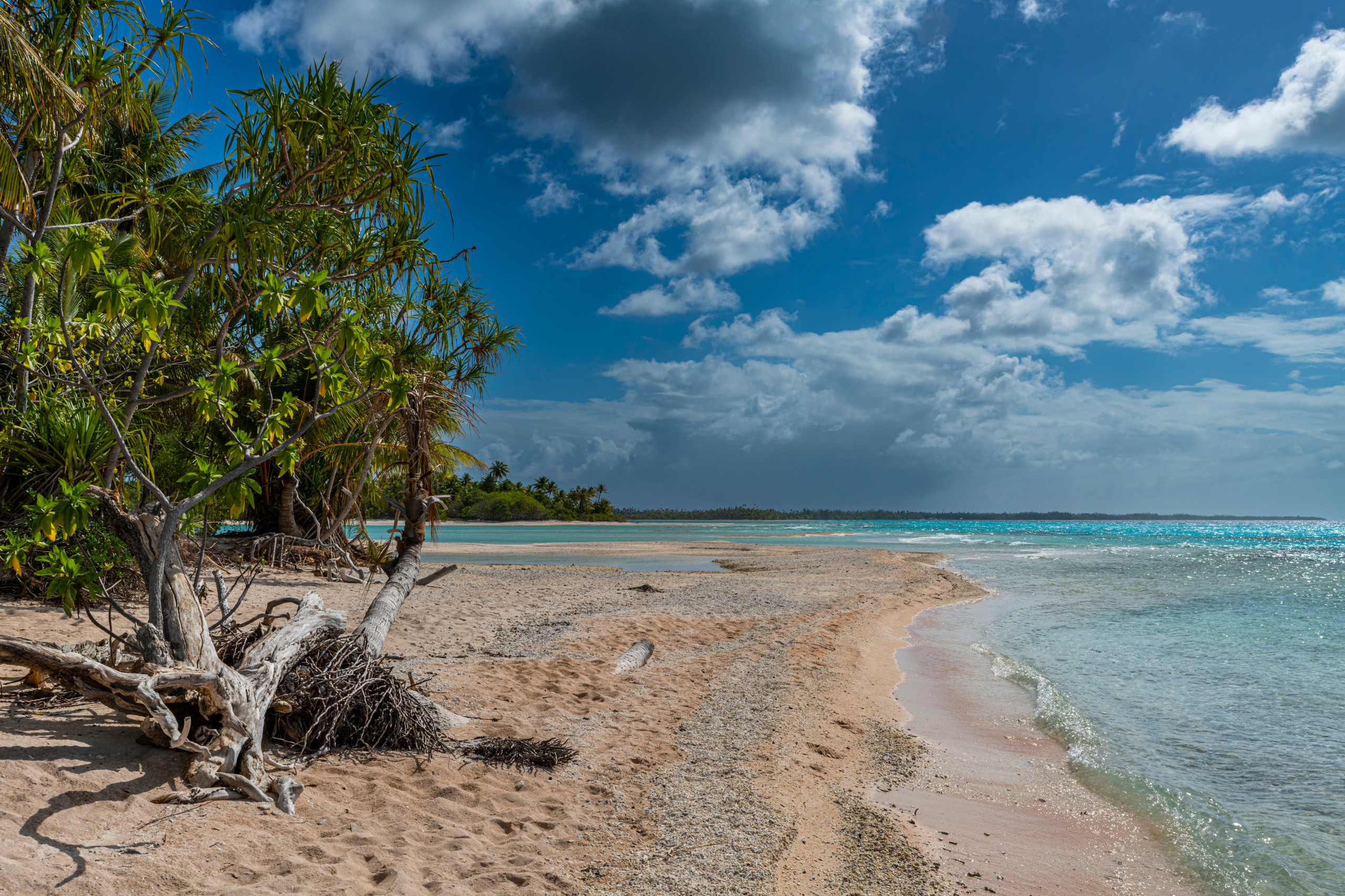Bungalow à Rangiroa - RANGIROA - My Eden Place