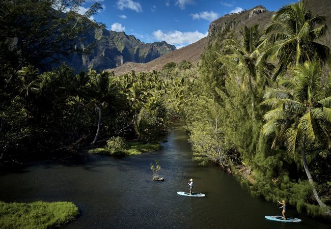 Chambres d'hôtes à Taiohae - NUKU HIVA - Te Reo Nuku Tahi Chambres d'hôtes à Taiohae - NUKU HIVA - Te Reo Nuku Tahi