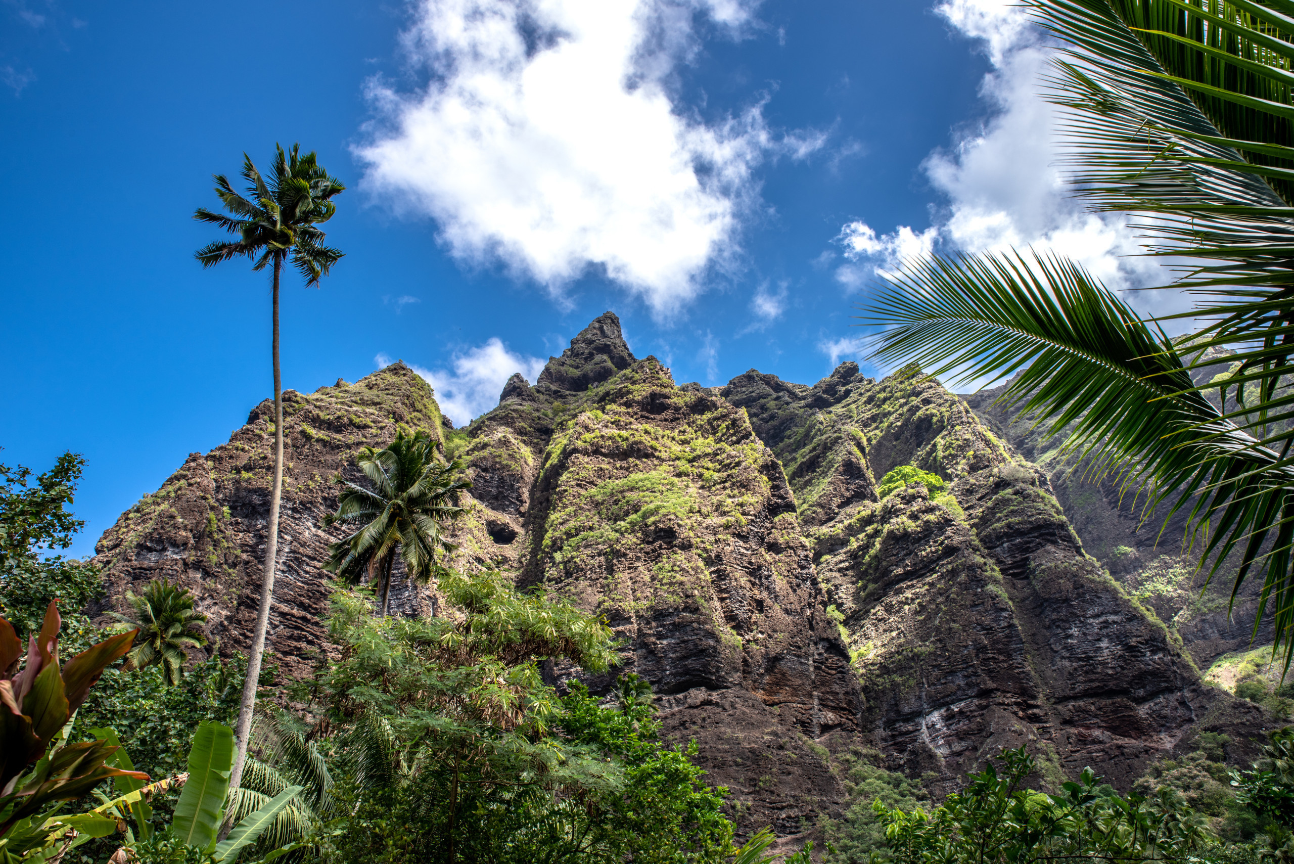  à Taiohae - NUKU HIVA - Te Reo Nuku Garden Hoe