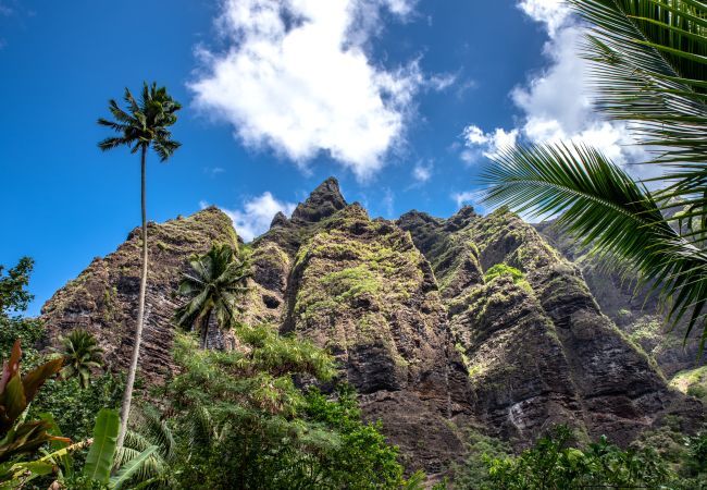 Chambres d'hôtes à Taiohae - NUKU HIVA - Te Reo Nuku Tou Chambres d'hôtes à Taiohae - NUKU HIVA - Te Reo Nuku Tou