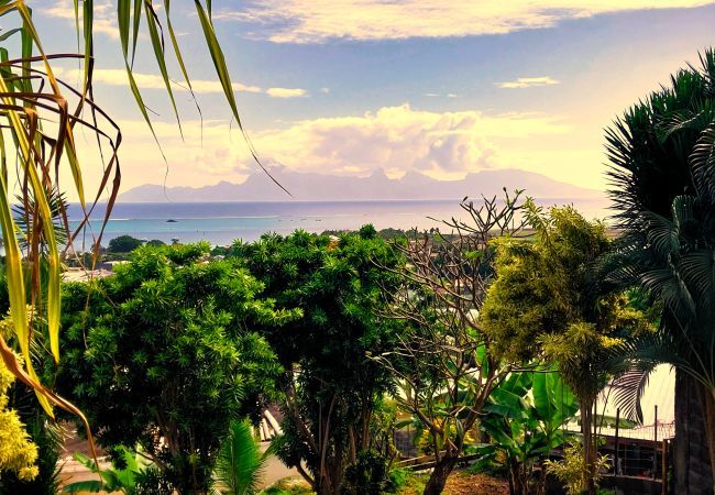 Studio à Faa´a - TAHITI - Ninamu Pool Studio Studio à Faa´a - TAHITI - Ninamu Pool Studio