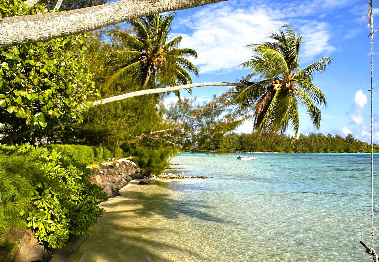 Un superbe lagon transparent pour des baignades agréables pendant vos vacances à Moorea