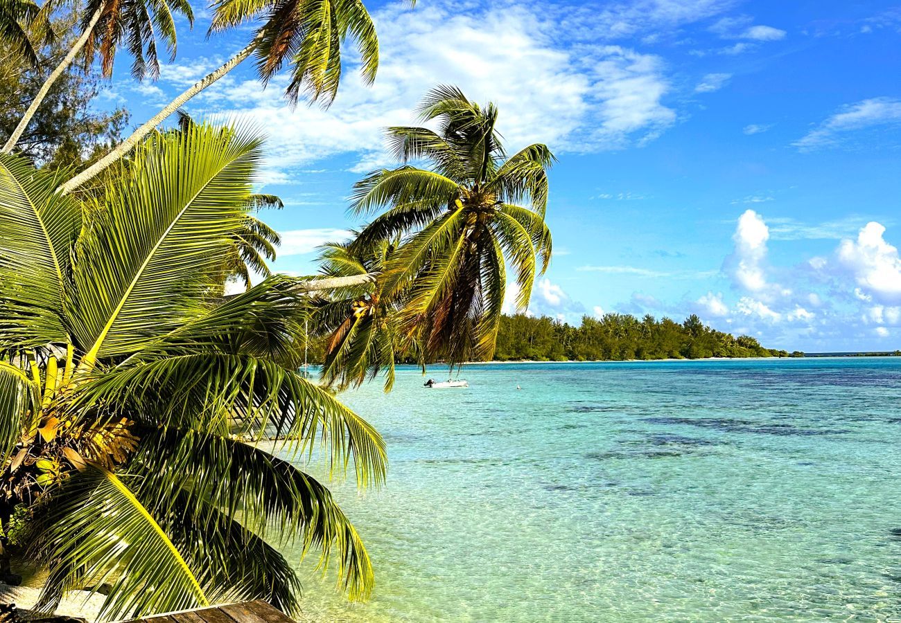 Villa à Tiahura - MOOREA - Sundara Soul Villa