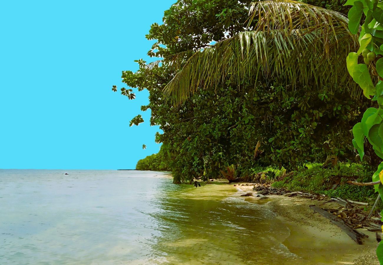 Villa à Niua - TAHAA - Villa Tehere Dream Beach front