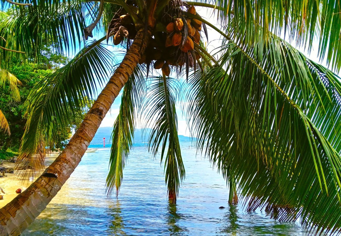 Villa à Niua - TAHAA - Villa Tehere Dream Beach front
