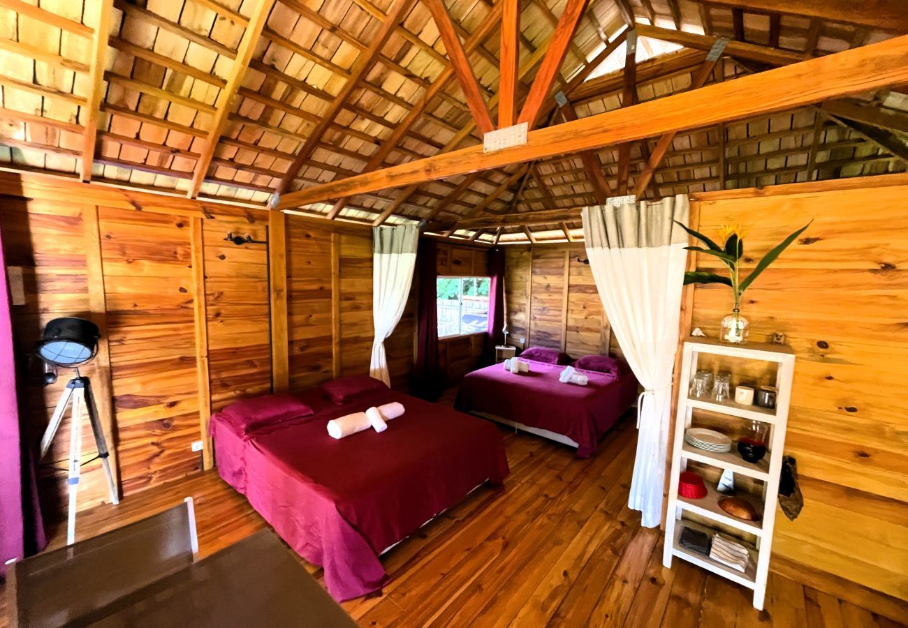 Bungalow à Uturoa - RAIATEA - Orion Pool Bungalow