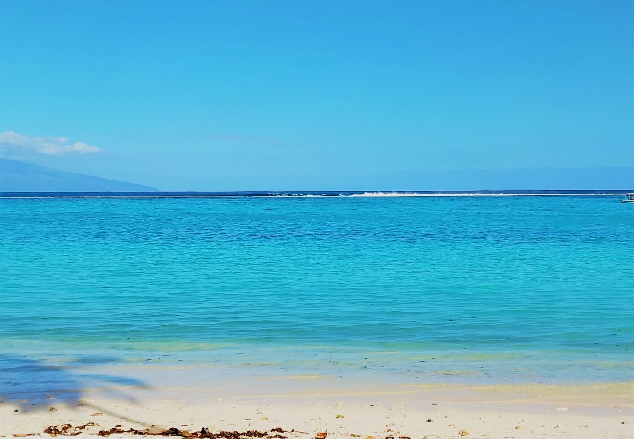 Villa à Temae - MOOREA - Toatea Beach Piti